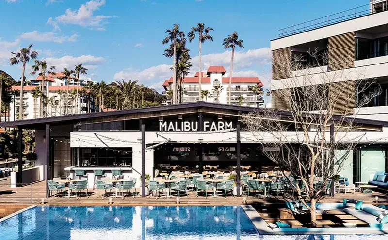 写真：マリブファーム