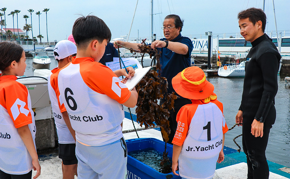 海のシンポジウム