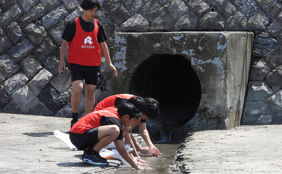 タグラグビー