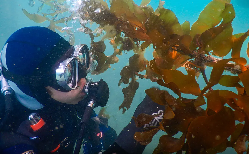 海を守るイベント