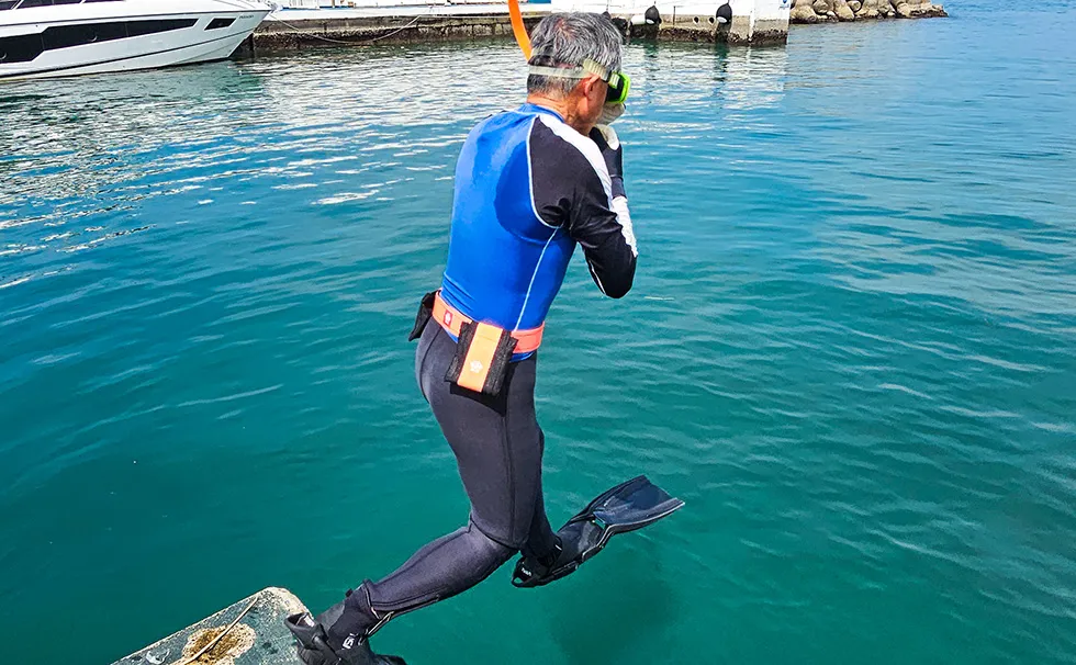 藻場再生の見学会