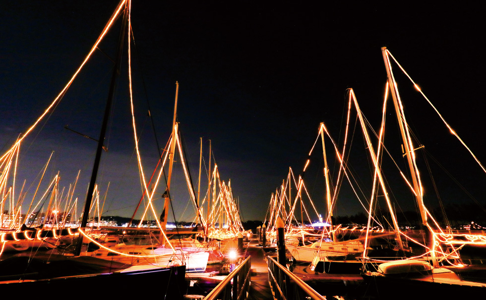写真：江の島ヨットハーバー