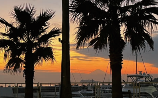 リビエラ逗子マリーナ