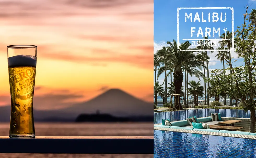 写真：マリブファーム