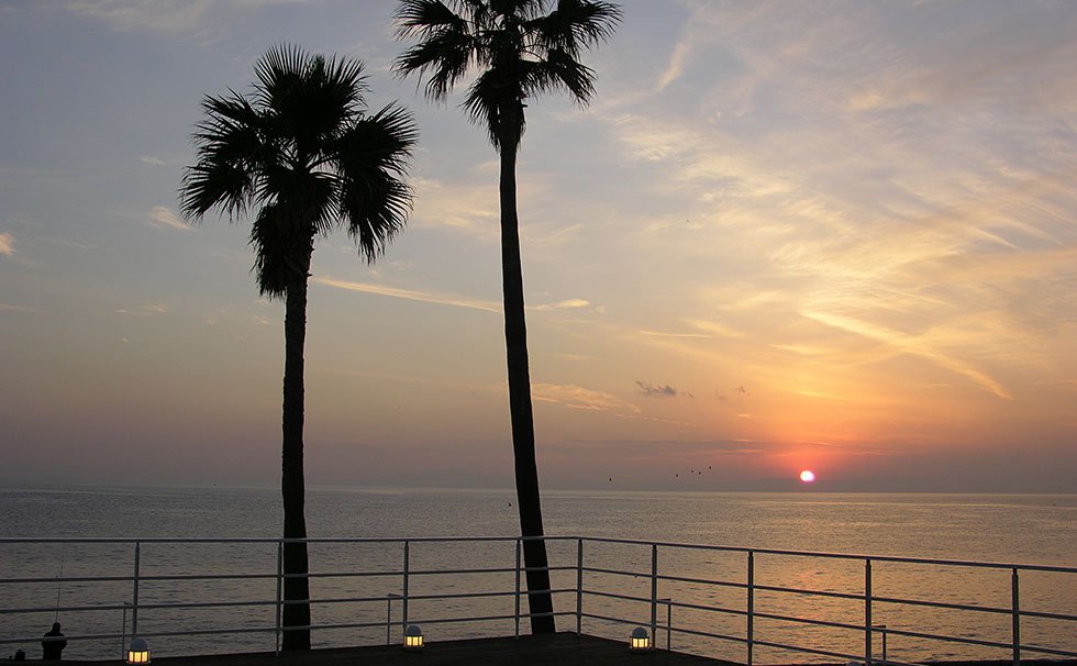 写真:リビエラ逗子マリーナ シースケイプ