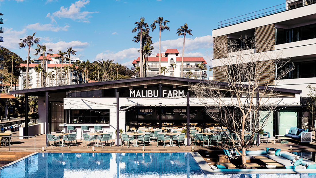 写真：マリブファーム