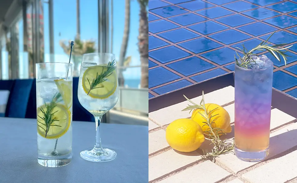 写真：ドリンク