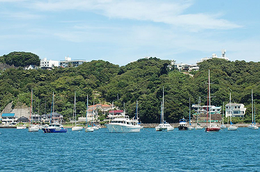 海からの下田ボートサービス