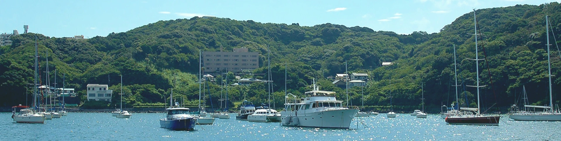 写真:下田ボートサービス