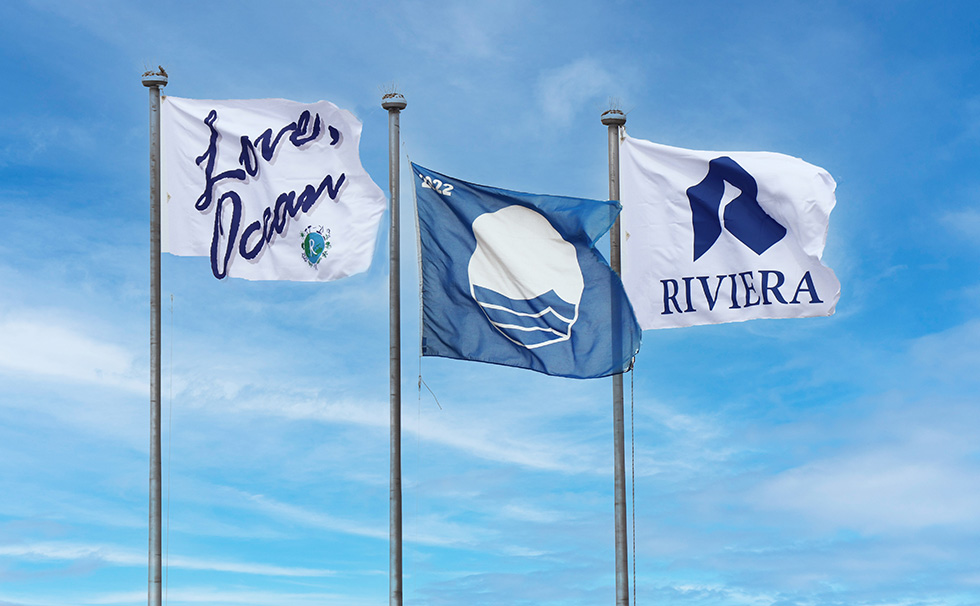 写真:ブルーフラッグ