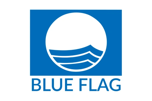 ロゴ：BLUE FLAG