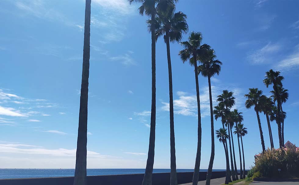 写真:逗子マリーナ駐車場