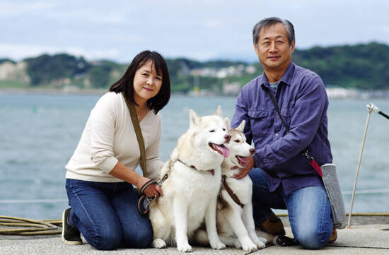 写真：わんちゃんと触れ合う人