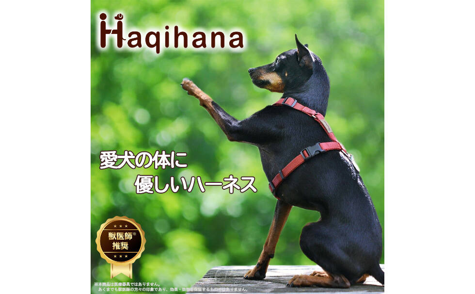 Haqihana 犬猫用ハーネス/リード