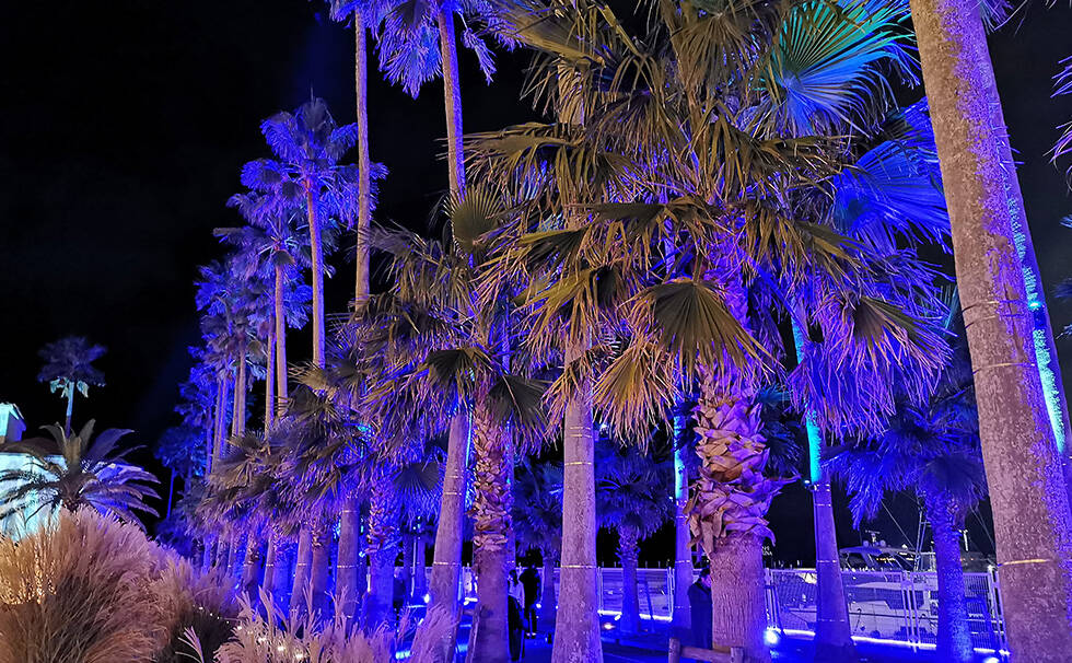 写真：プロジェクションマッピング