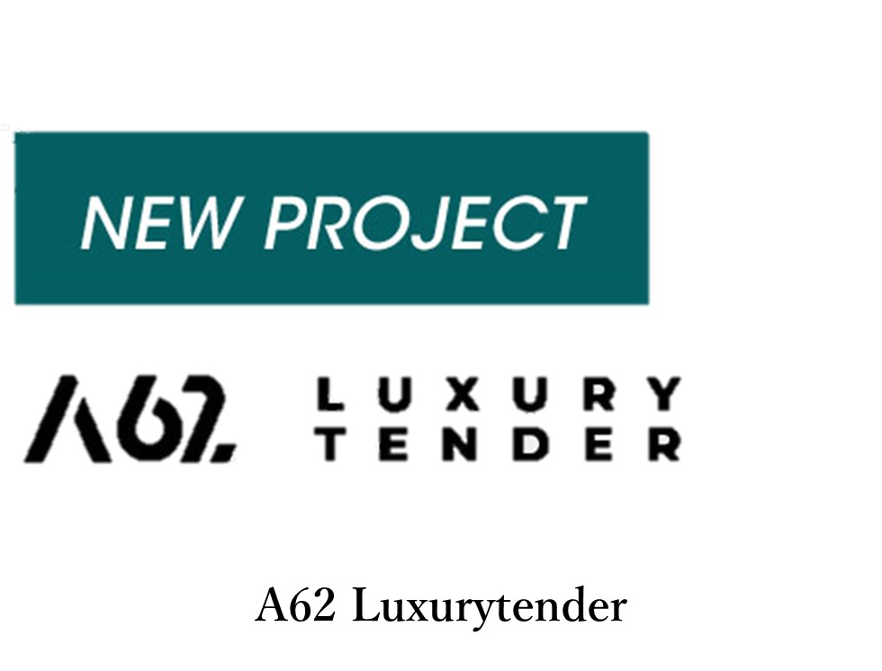 NEW PROJECT A46 Luxury Tender