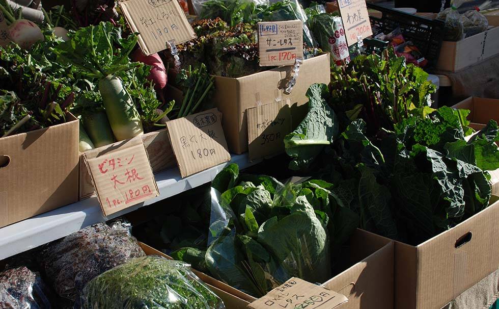写真：イベントの様子