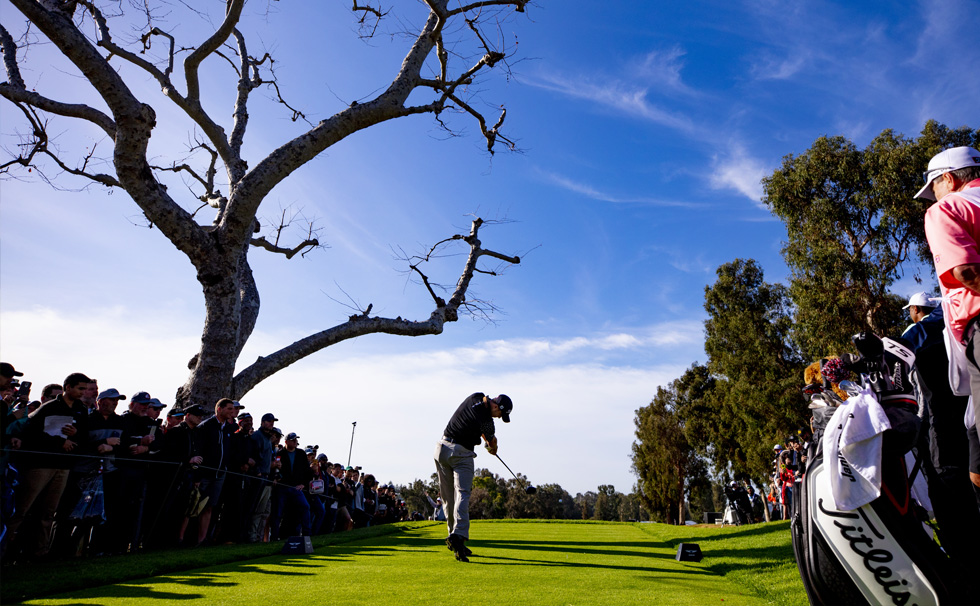2019大会イメージ