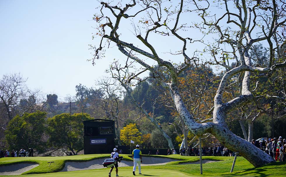 2020大会イメージ