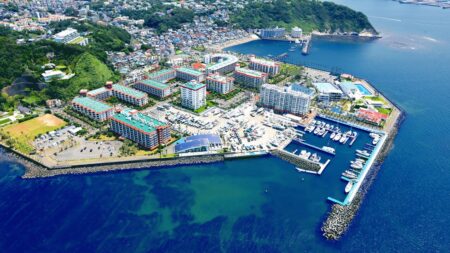 逗子マリーナを上空から