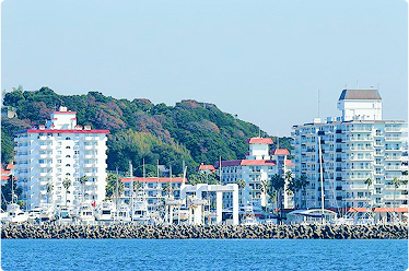 逗子マリーナの物件