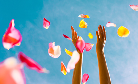 空に舞う花びら