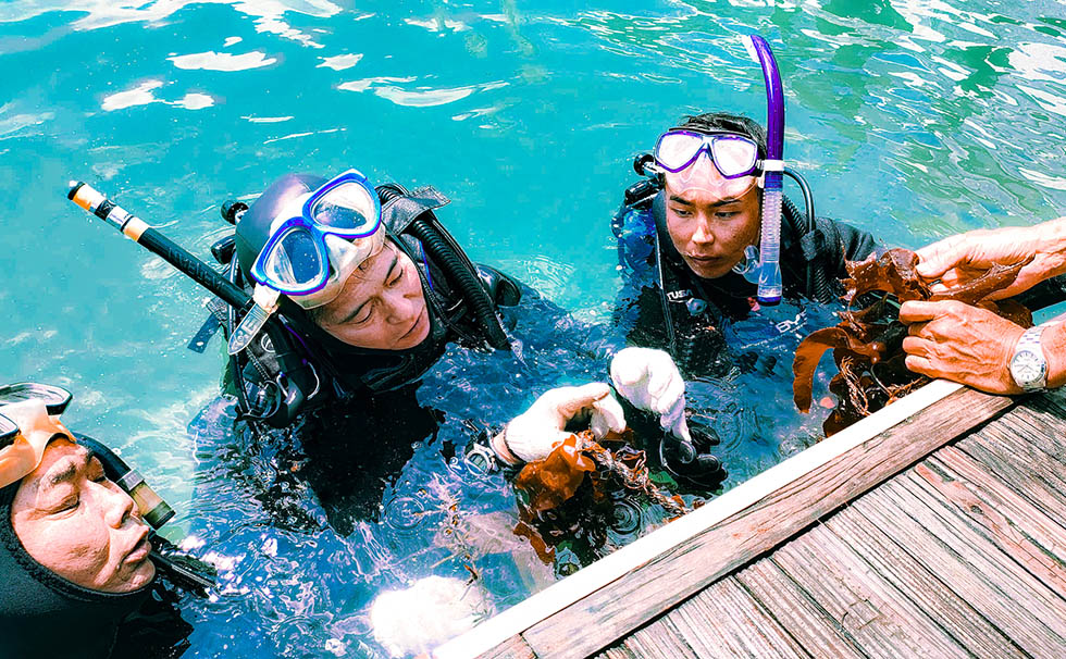 第6回LOVE OCEANこれまでの歩み