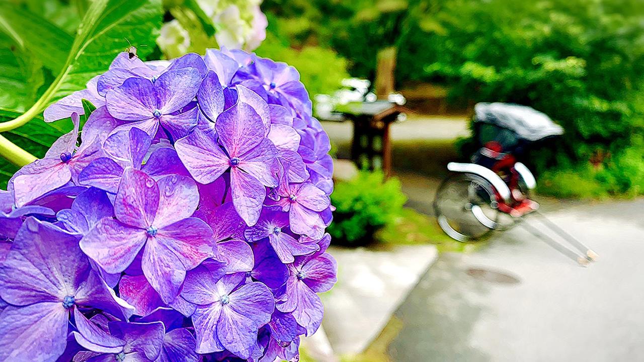 MALIBUHOTEL PLAN_人力車2