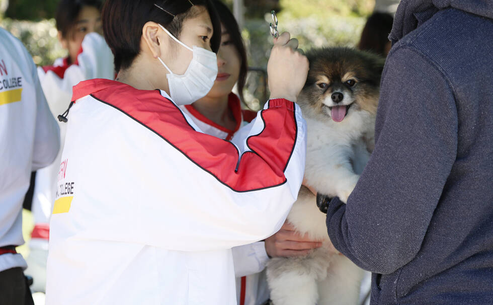 写真：イベントの様子