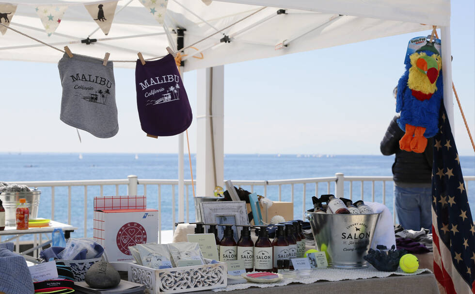 写真：イベントの様子