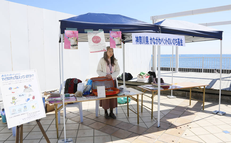 写真：イベントの様子