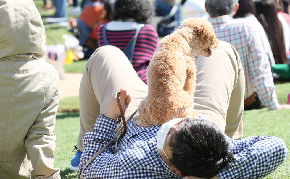 写真：わんちゃんと飼い主さん