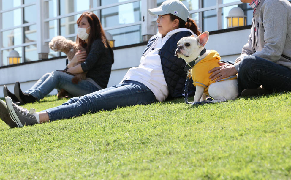 写真：わんちゃんと飼い主さん