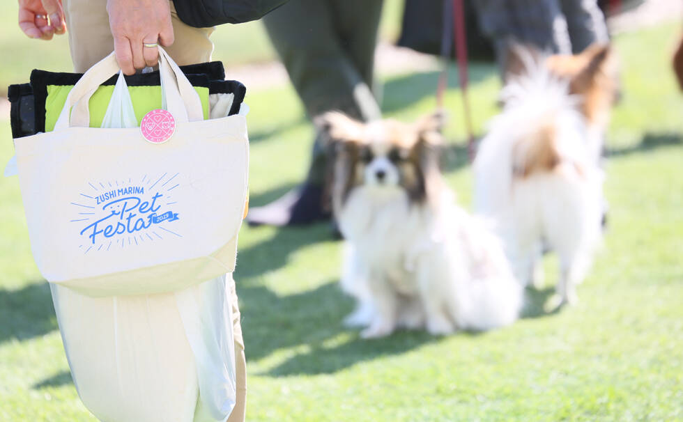 写真：わんちゃん