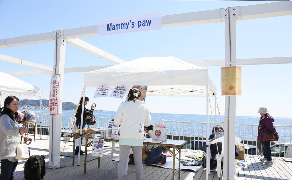 写真：イベントの様子