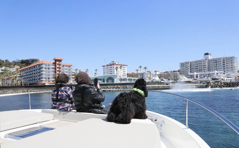 写真：船に乗るわんちゃん