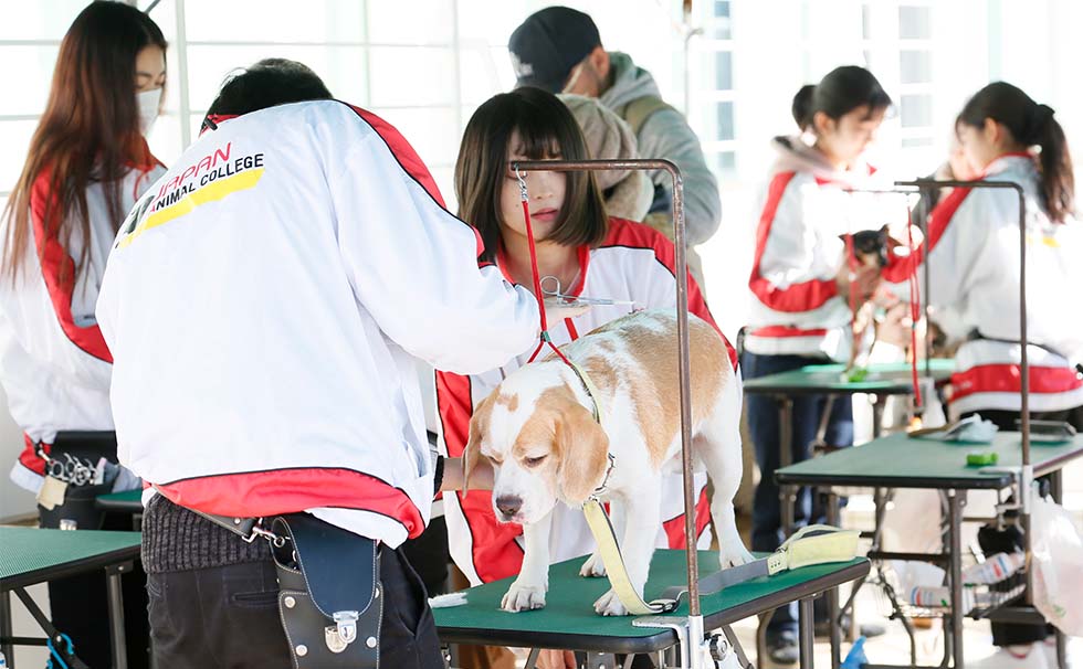 写真：イベントの様子