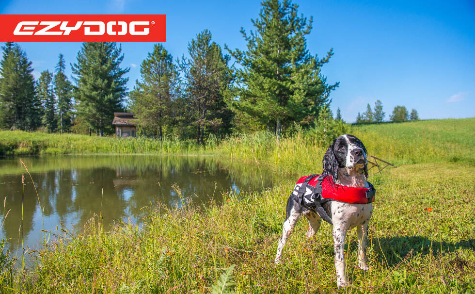 EZYDOG(イージードッグ)