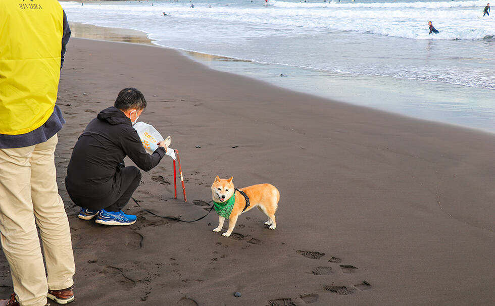 写真:リビエラ湘南ビーチクリーン