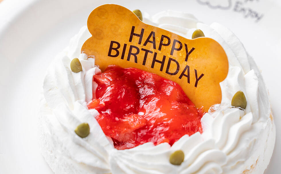 写真:わんちゃん用ケーキ