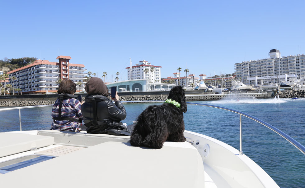 写真:第2回 逗子マリーナペットフェスタ 2019