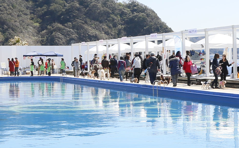 写真:第2回 逗子マリーナペットフェスタ 2019