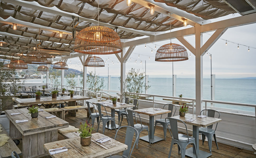 写真：オーガニックレストラン