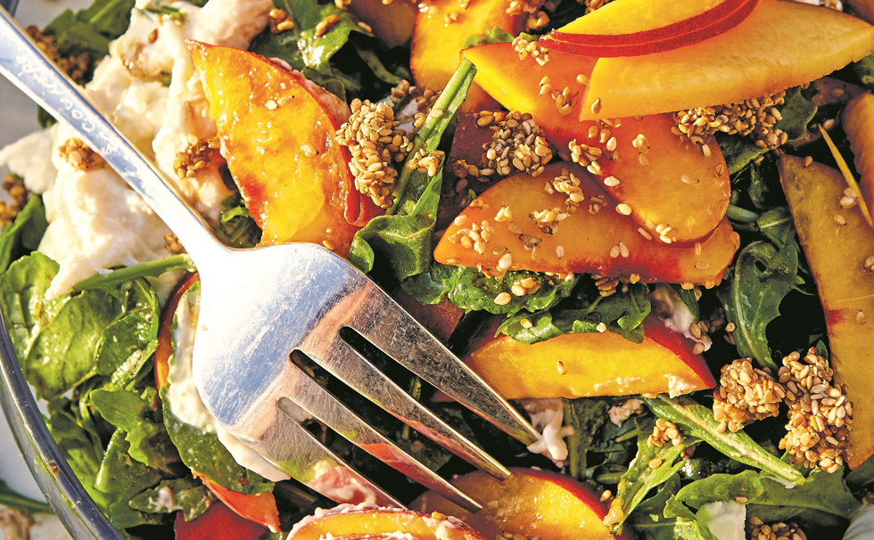 写真：オーガニックレストラン　お料理