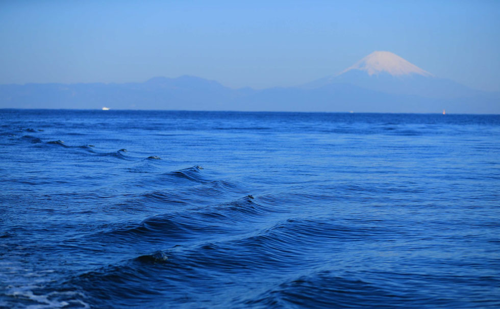 写真：冬の海と富士山
