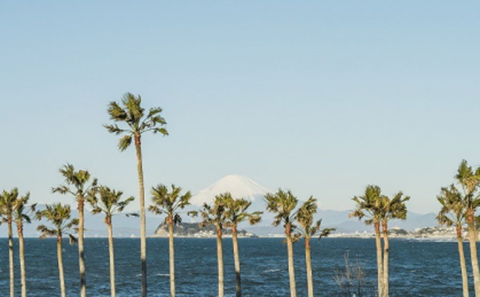 写真:自然に溶け込む