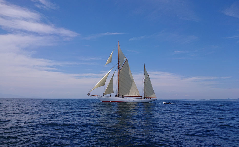 写真：シナーラ