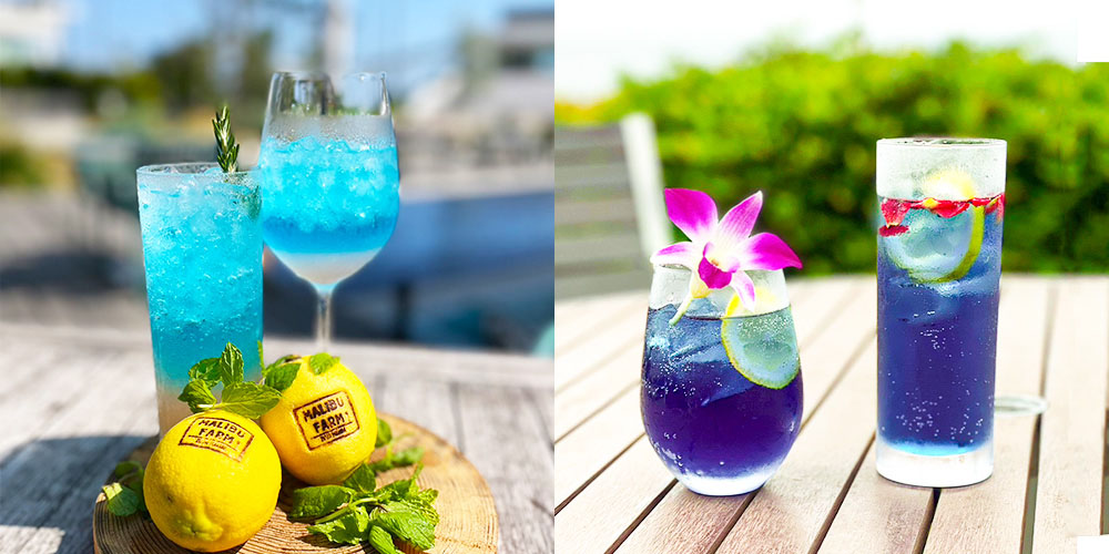 写真:サマーマリーナ2023