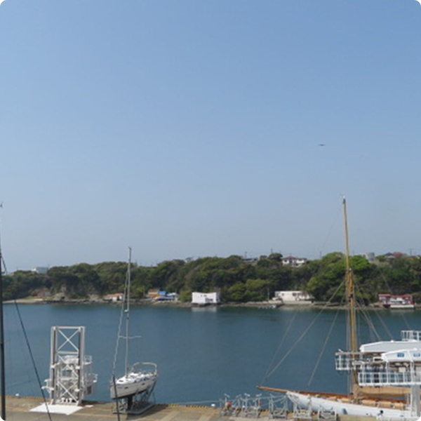 写真:シーボニア D棟 5階