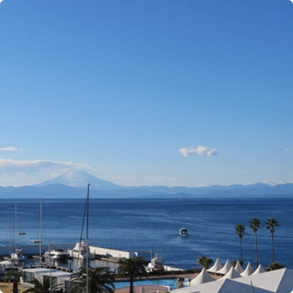 写真:シーボニア C棟 6階